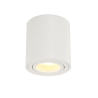SPOT LED ROND 5W NOIR BLANC MONTAGE EN SURFACE GU10 AMOVIBLE ORIENTABLE
