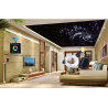 GÉNÉRATEUR LED CIEL ÉTOILÉ 16W  32W POUR FIBRES OPTIQUES