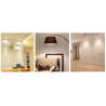 AMPOULES LED - GU10    GU 5.3    E14    E27