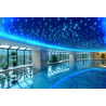 GÉNÉRATEUR LED CIEL ÉTOILÉ 16W  32W POUR FIBRES OPTIQUES