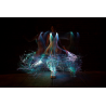 FIBRE OPTIQUE SLIDE GLOW