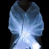 FIBRE OPTIQUE FLASH GLOW