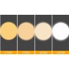 SPOTS LED ANGLE LUMIÈRE 10° ENCASTRABLES ORIENTABLES 3W 5W 7W