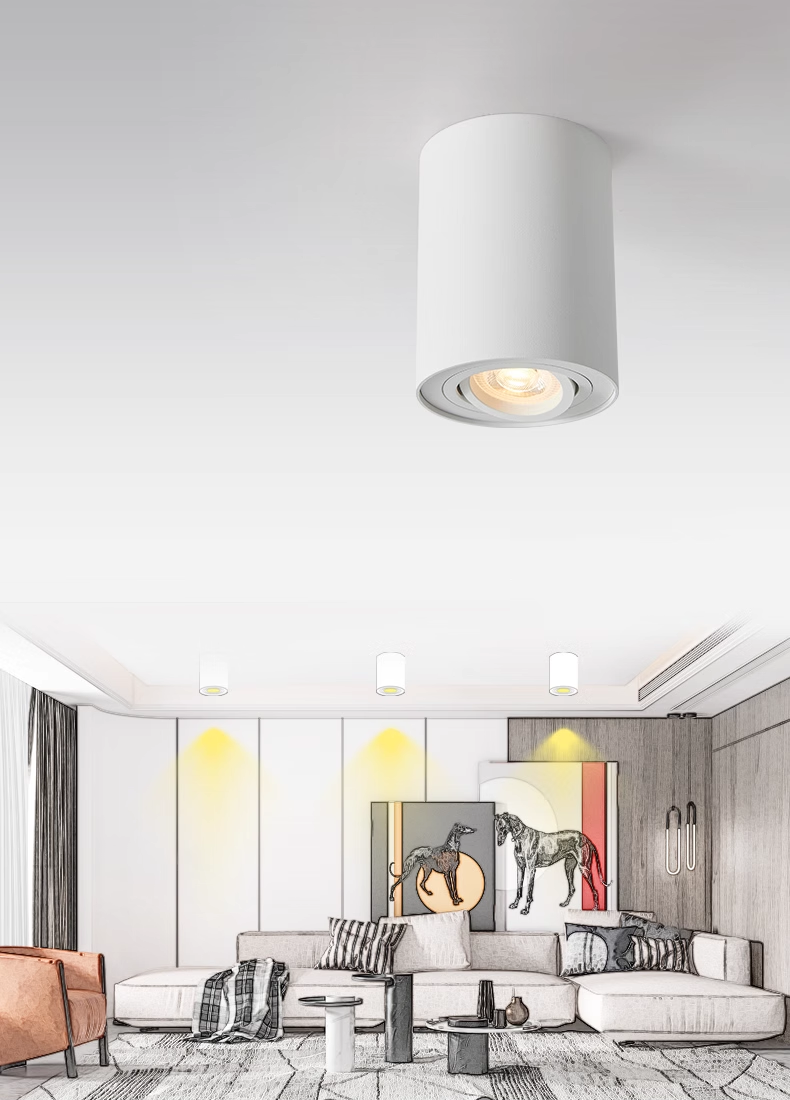 SPOT LED ROND 5W NOIR BLANC MONTAGE EN SURFACE GU10 AMOVIBLE ORIENTABLE EX4