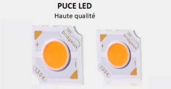 SUSPENSION LED TUBE 5W DOUBLE COULEUR : NOIRE ET OR PUCE